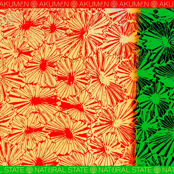 Natural State EP Akumen Remix by Byron the Aquarius